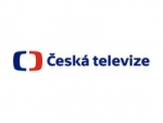 Televizní reklama